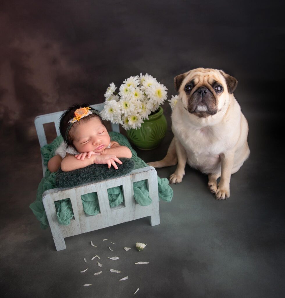 Newborn Photoshoot in Bangalore